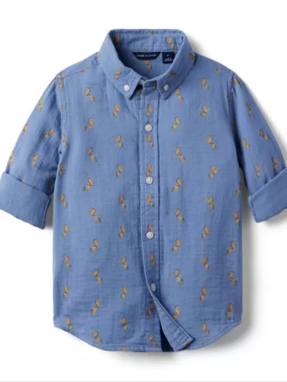 Janie And Jack Button-Down Blue Embroidered Kids Shirt